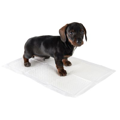 zooplus Trainingsunterlage für Hundewelpen
