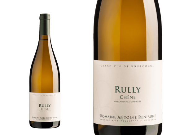 Antoine Reniaume Rully Chêne Blanc 2022 Bourgogne Rully