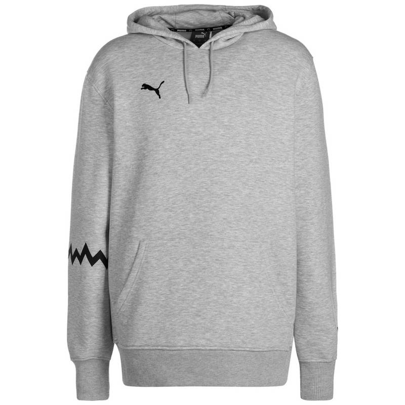 PUMA Hoops Team Hoodie Herren