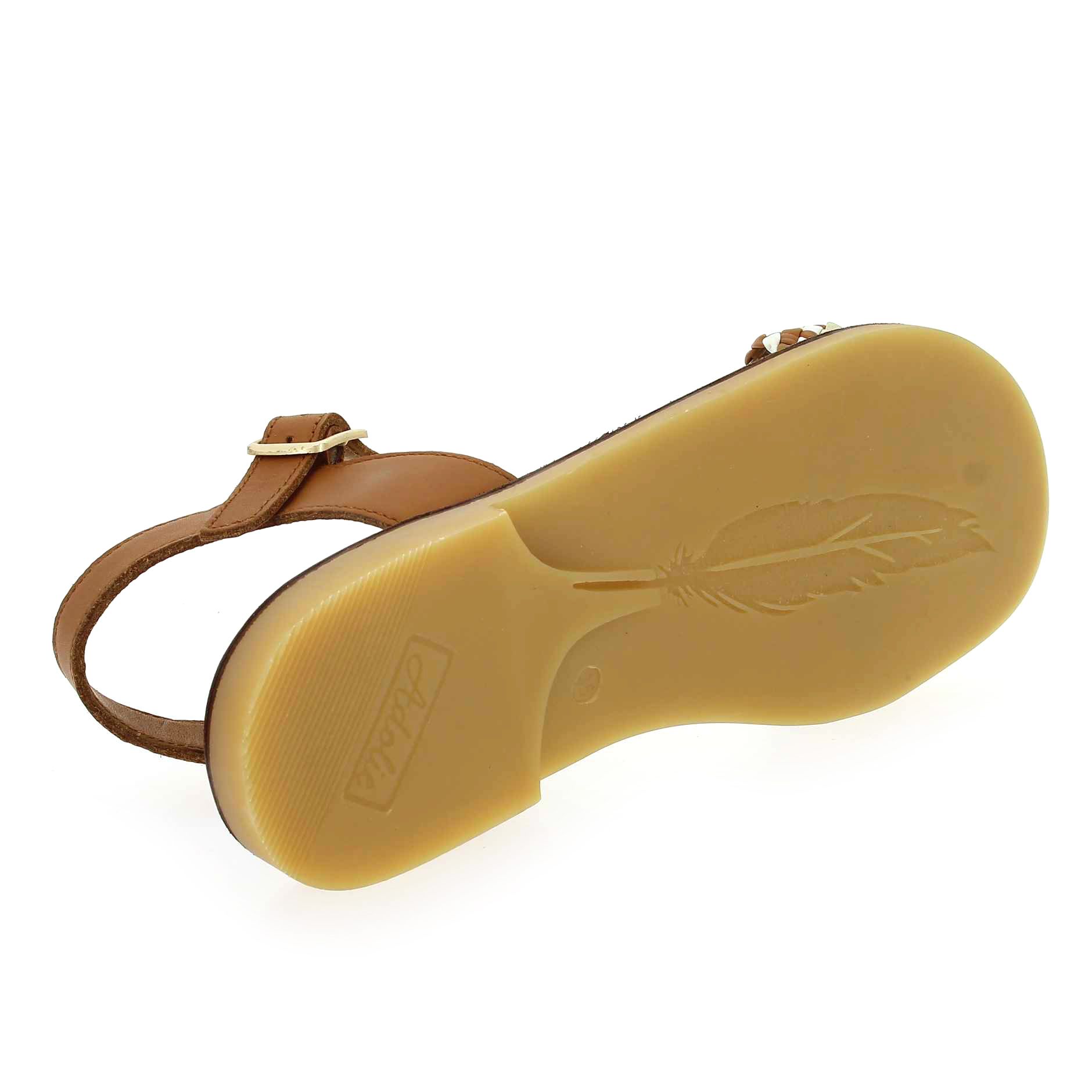 Adolie  LAZAR KATE - Cognac Platine