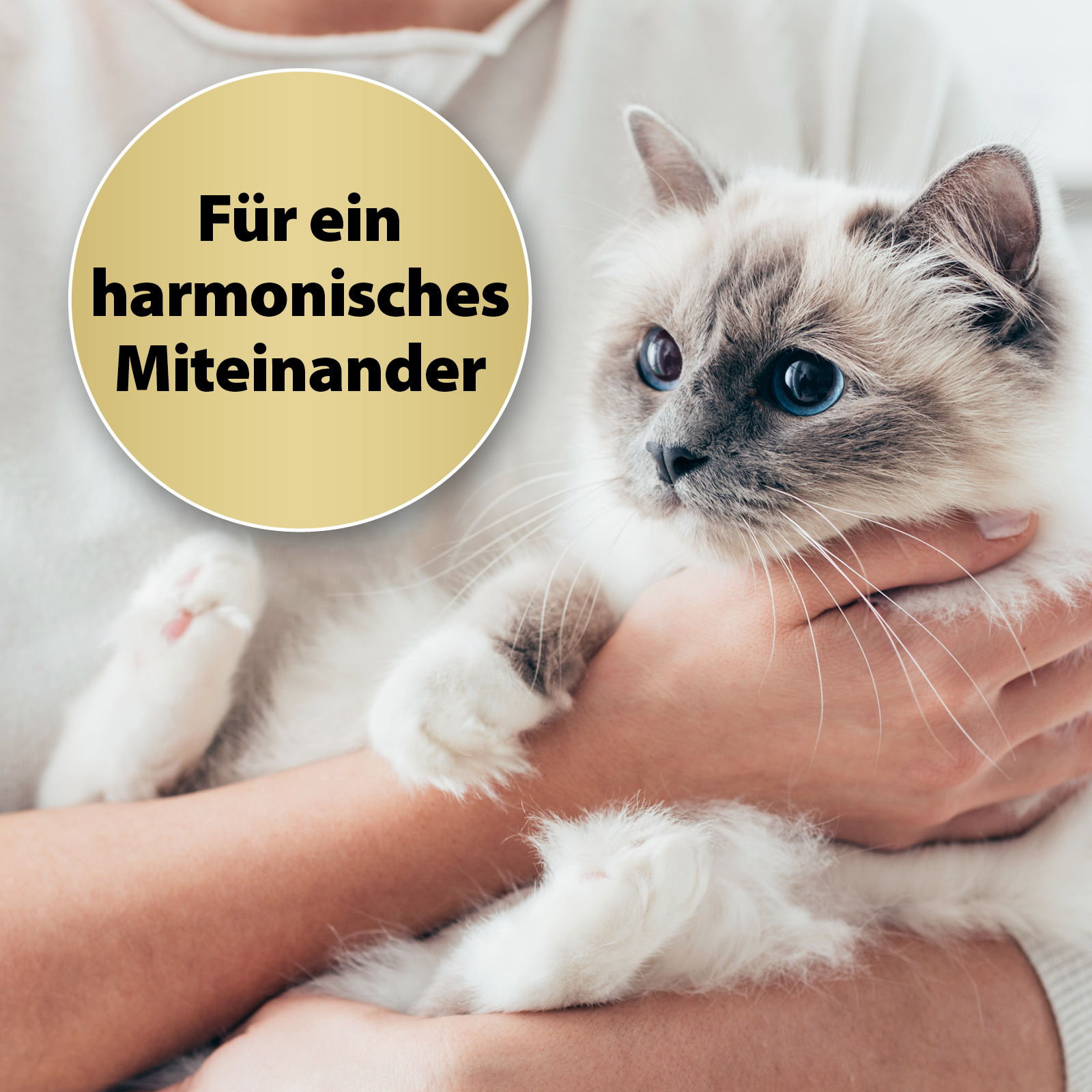 Felisept Beruhigungsmittel Felisept Home Comfort Beruhigungshalsband für Katzen