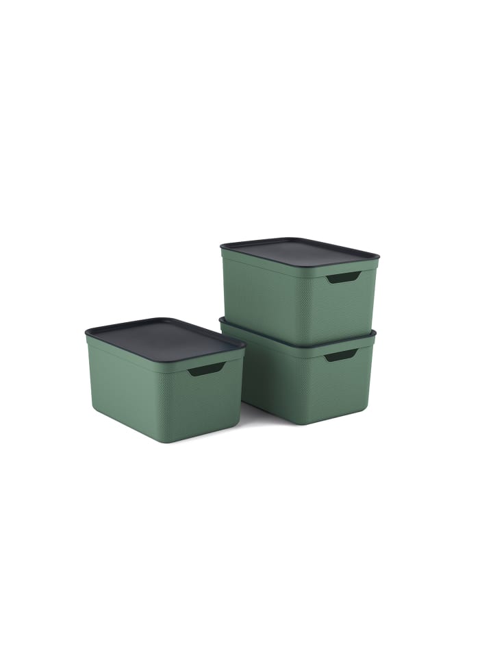 Rotho 3er- Set Aufbewahrungskorb 16l mit Deckel in Sea Spray green ged. günstig kaufen onesize