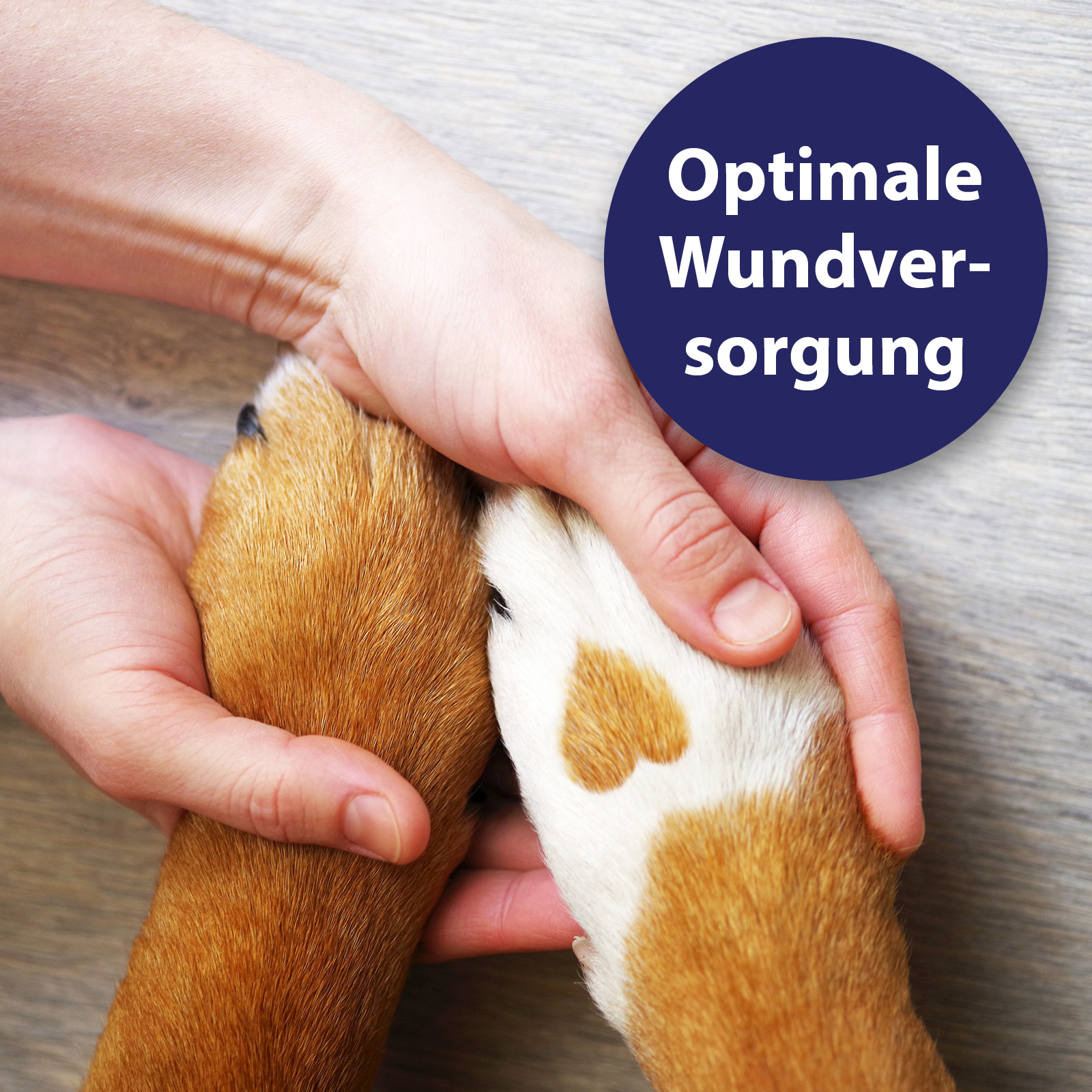 Canosept Fellpflege Canosept Wundspray für Hunde 75 ml