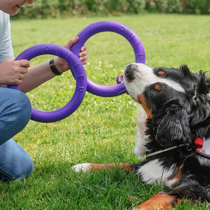Ferplast Hundespielzeug Puller zu TOP-Preisen