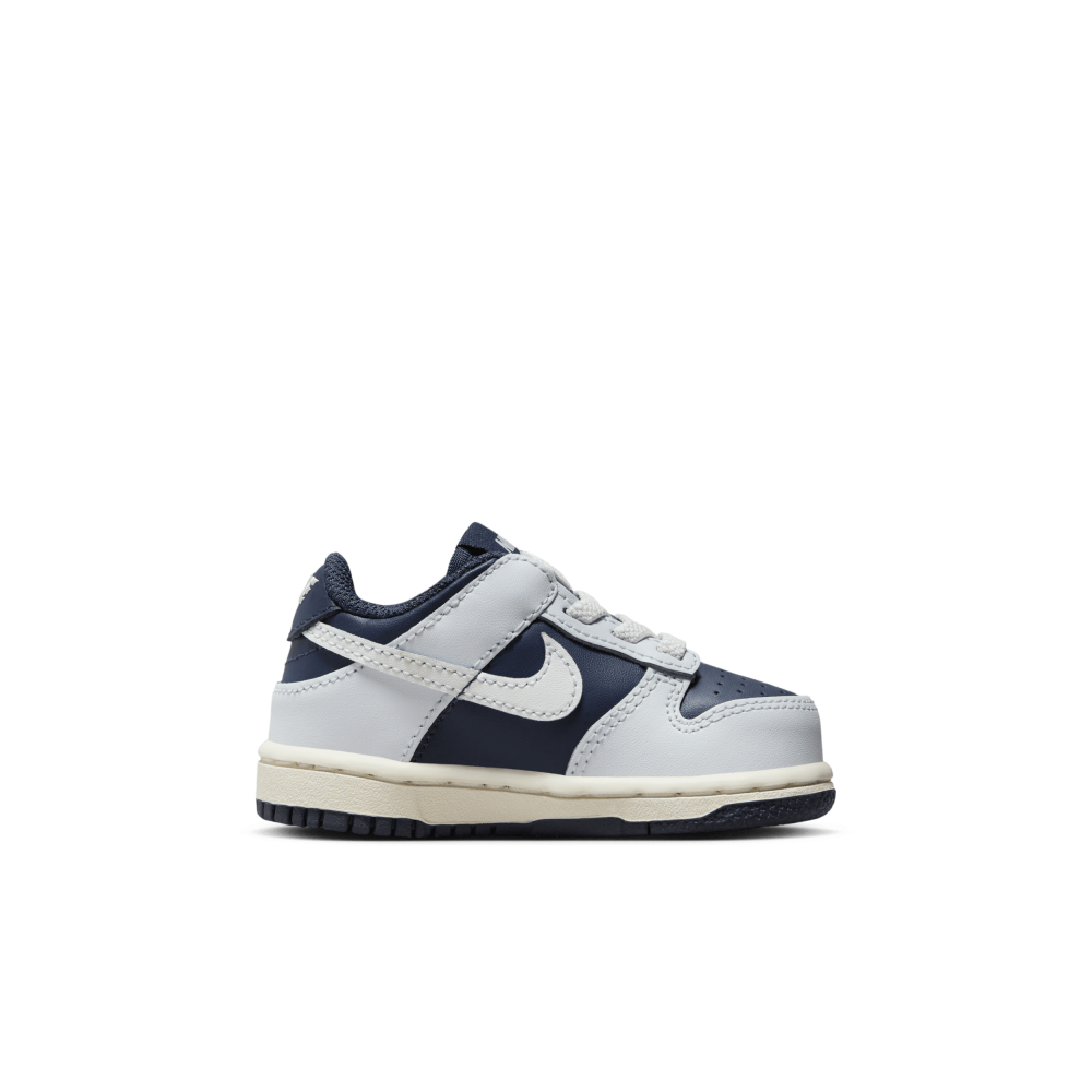 Nike Dunk Low FB9107-002 / grau