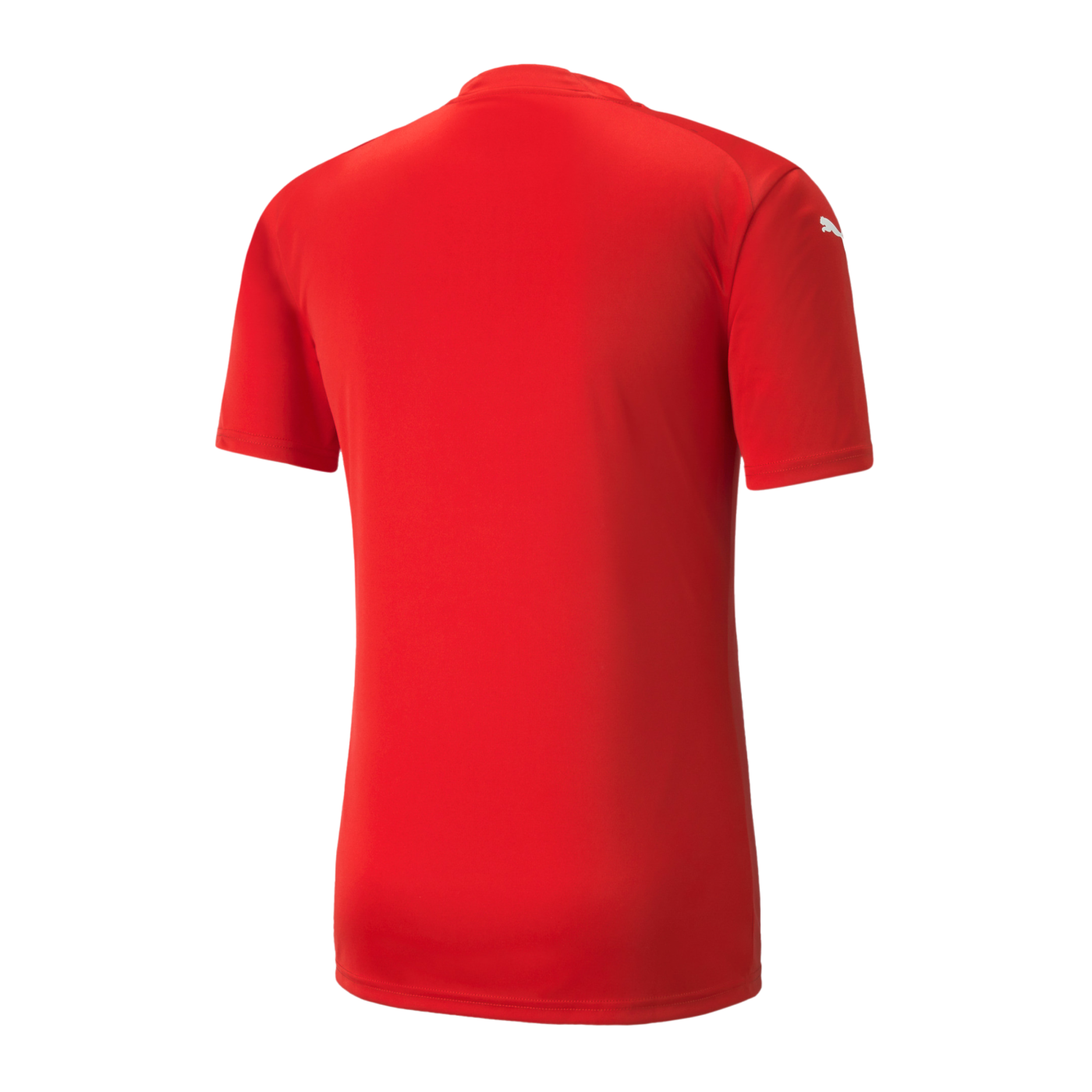PUMA teamGLORY Trikot Kids Rot F01