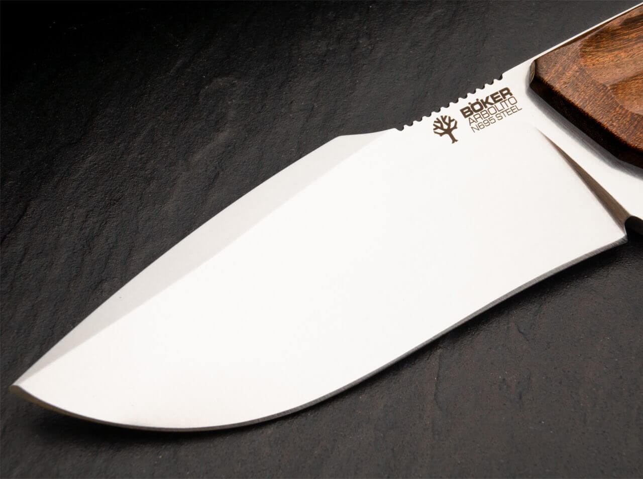 Bison Guayacan
