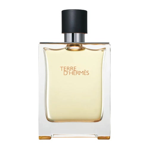 Hermès Terre D'Hermès Eau de Toilette 100 ml