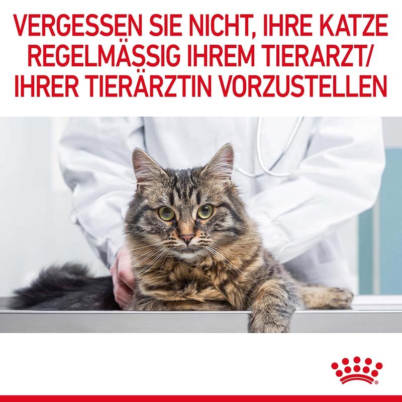 ROYAL CANIN Trockenfutter ROYAL CANIN Digestive Care 10 kg