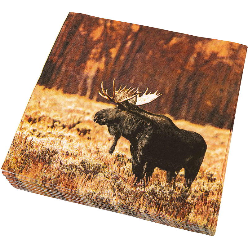 Vie Eco Servietter 20-pk 33x33 cm, Høst