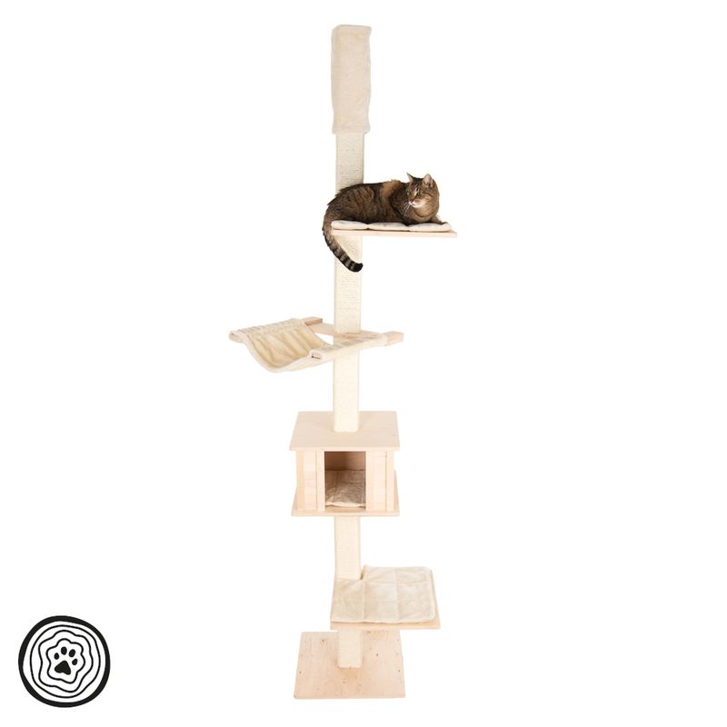 Natural Paradise Deckenspanner Orchid zu TOP-Preisen | bitiba %
