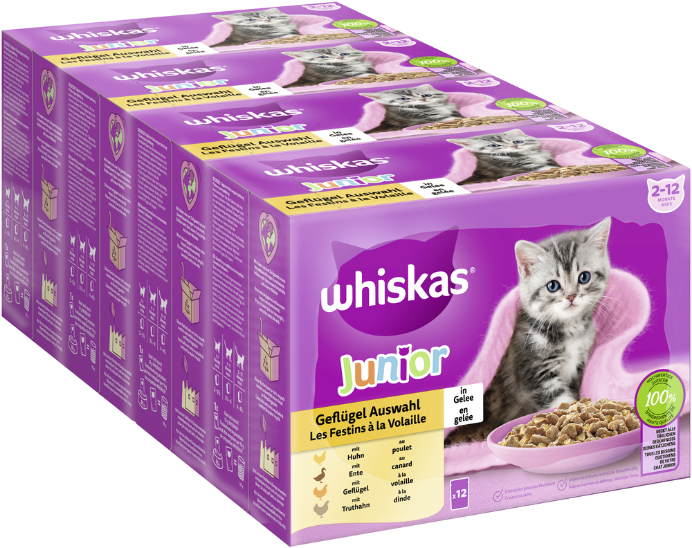 Whiskas Nassfutter Whiskas Multipack Junior Geflügel Auswahl in Gelee 12 x 85g