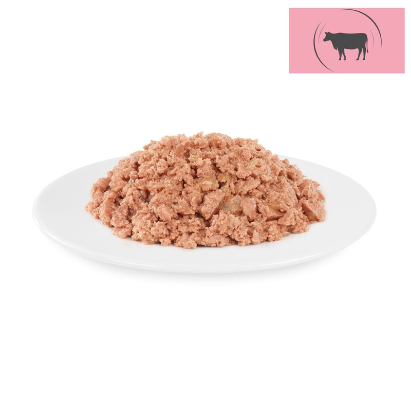 Briantos Delicious Paté 12 x 100 g