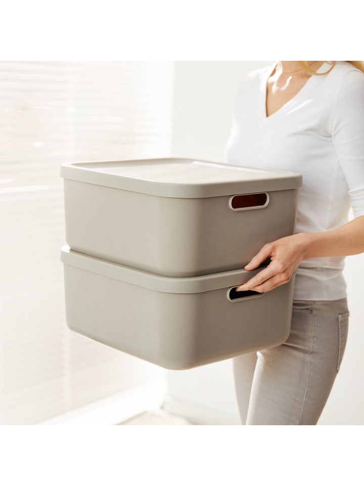 Rotho Albula Light 2er-Set Aufbewahrungskiste 20l in Cappuccino günstig kaufen onesize