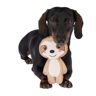 TIAKI Hundespielzeug Squeaky Sloth