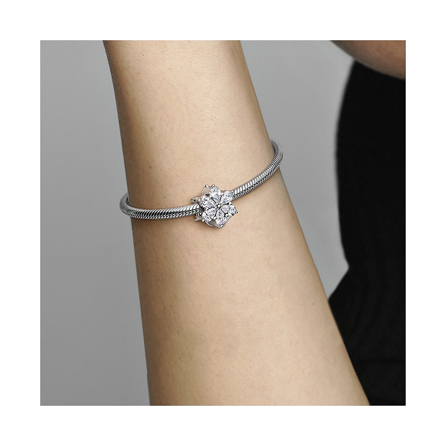 Pandora Charm Timeless