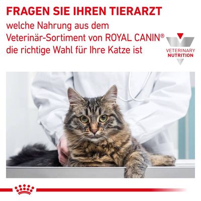 Royal Canin Veterinary Feline Diabetic in Soße
