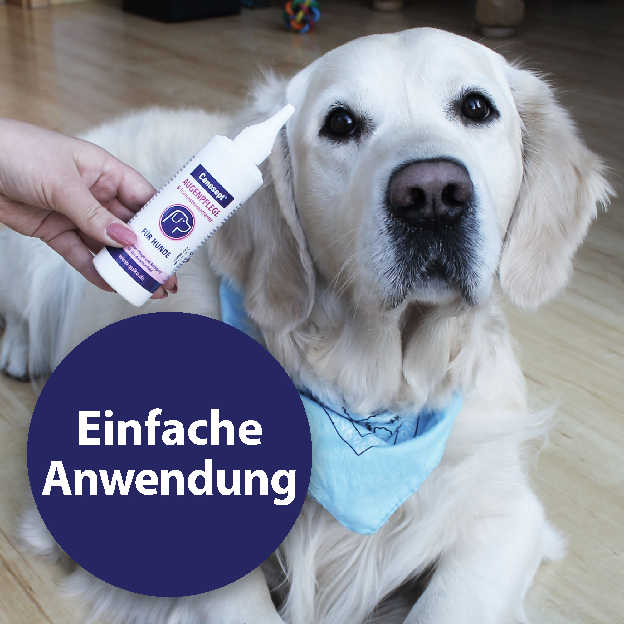 Canosept Augen- & Ohrenpflege Canosept Augenpflege für Hunde 120 ml