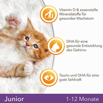 IAMS for Vitality Kätzchen mit Frischem Huhn