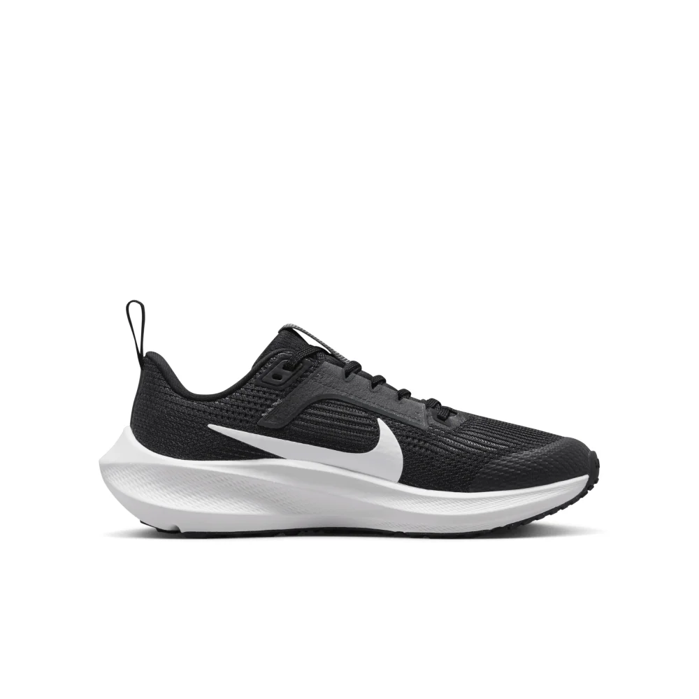 Nike Air Zoom Pegasus 40 DX2498-001 / schwarz