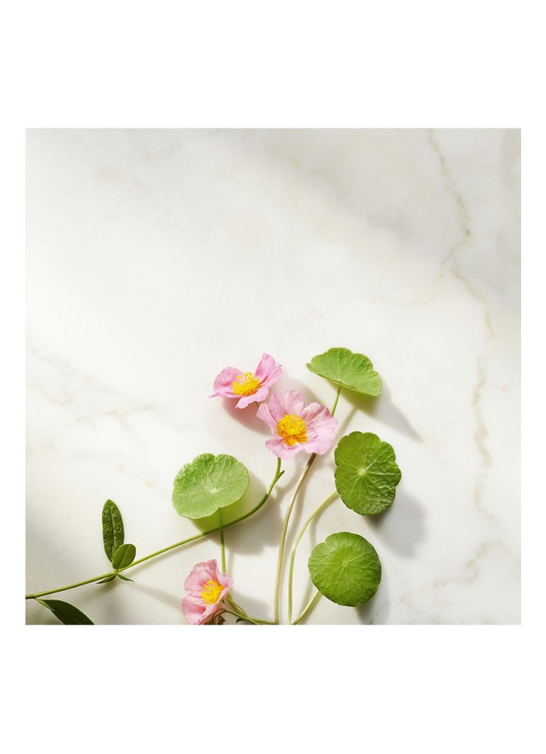 Rituals  The Ritual of Namaste Active Firming Day Cream - dagcrème
