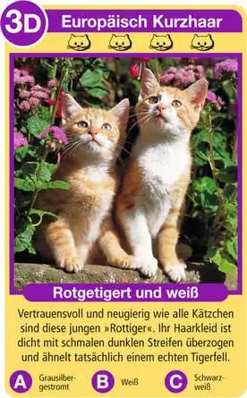 Katzen - Kartenspiel ab 4 Jahren