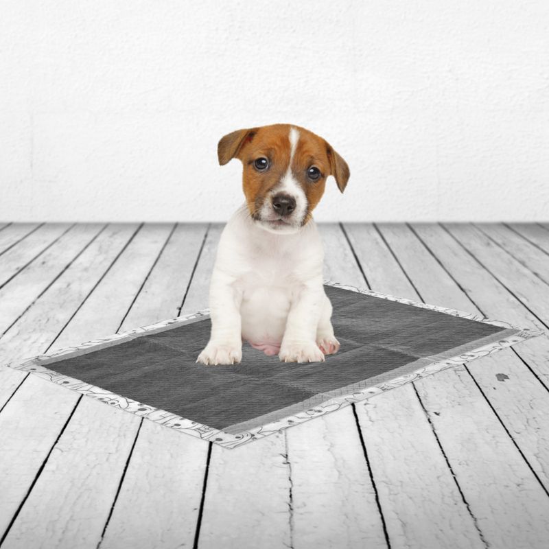 Savic Puppy Trainer Pads mit Aktivkohle