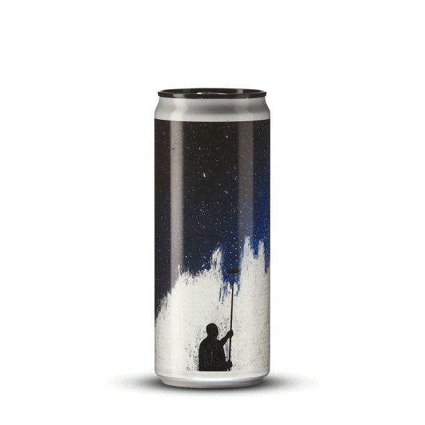 Paint The Stars 33 cl