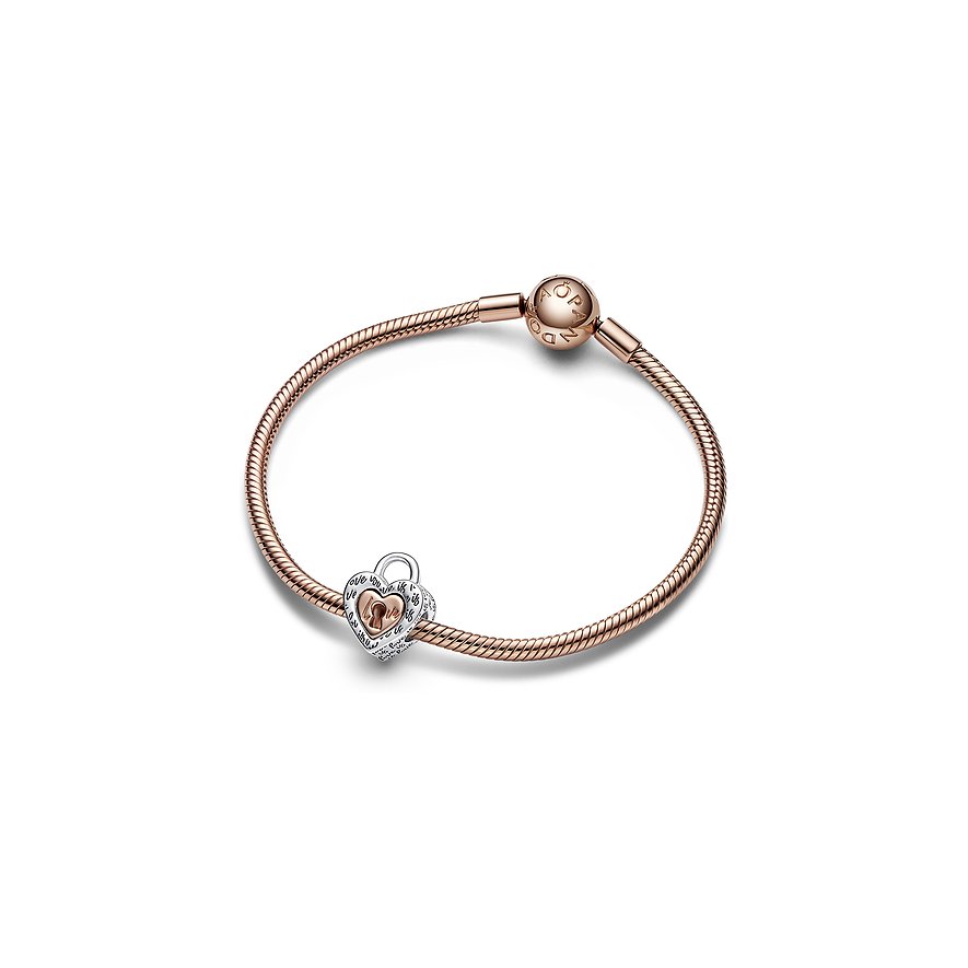 Pandora Charm Moments