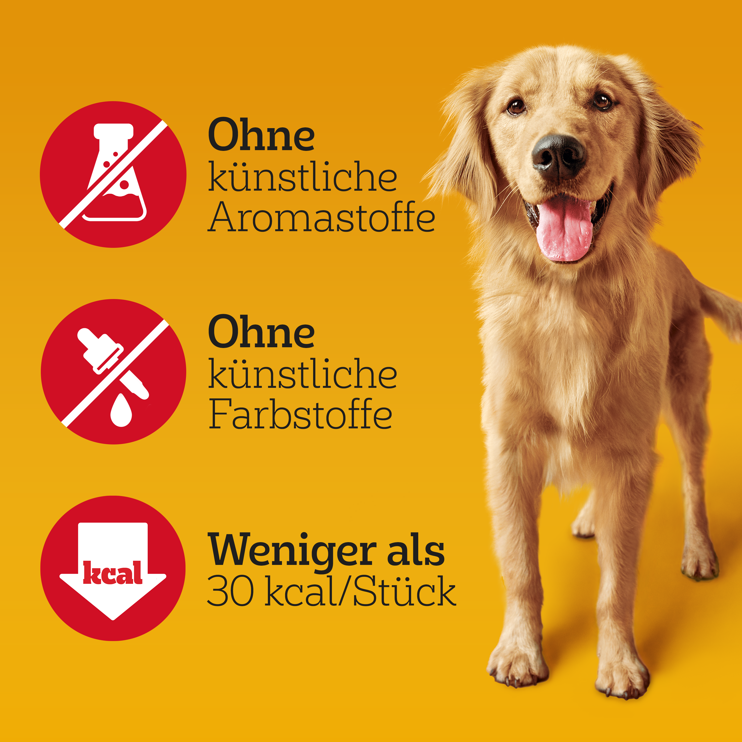 Pedigree Snacks Pedigree Mixbox Schmackos 9x144 g