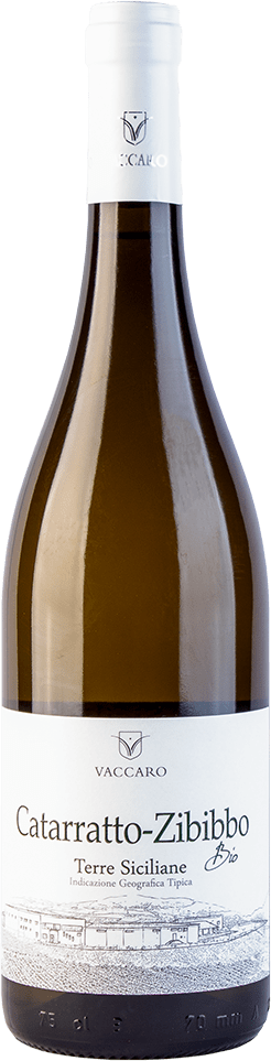 Vini Vaccaro-Catarratto-Zibibbo