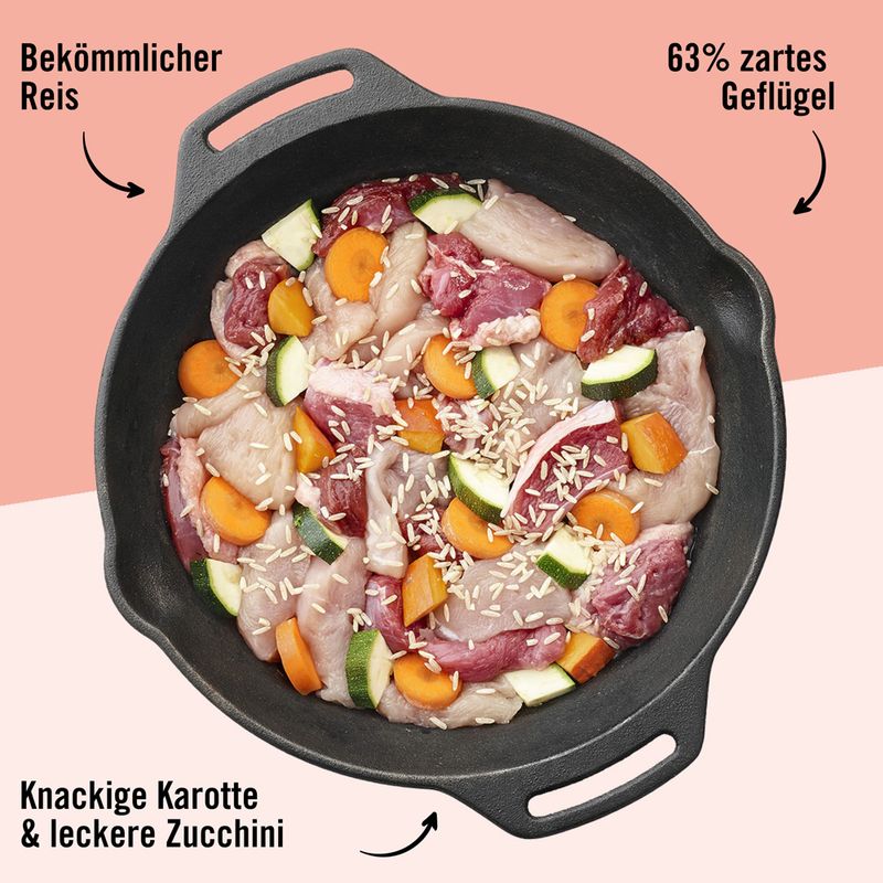 Dogs'n Tiger Schlemmermenü für Hunde 6 x 400 g