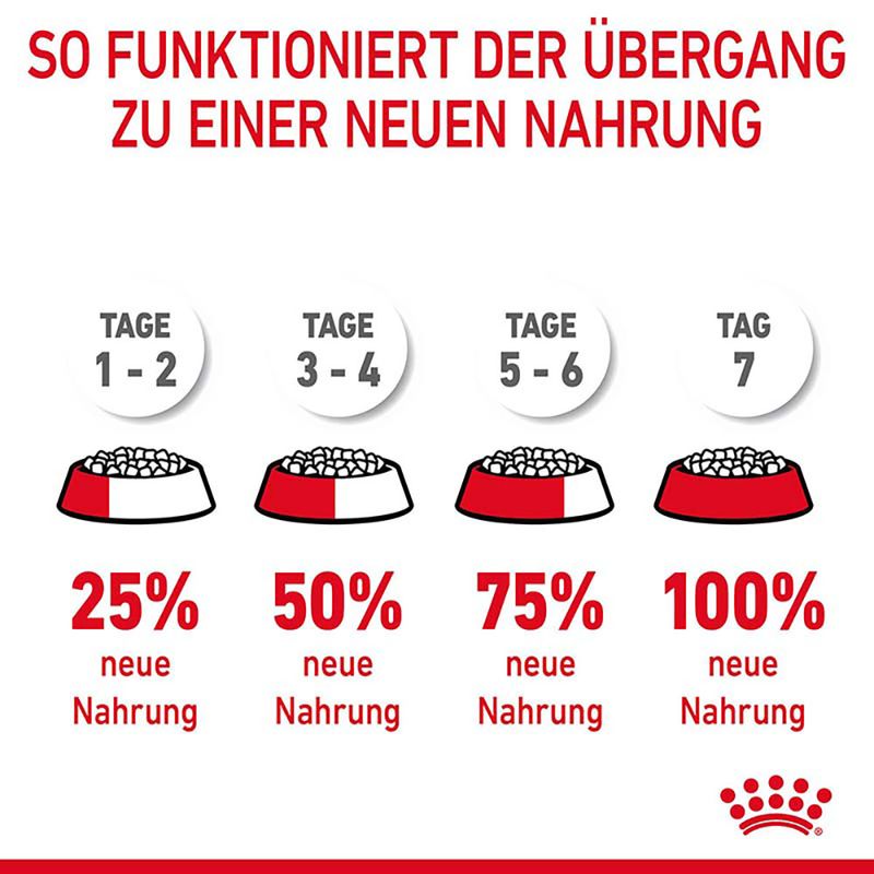 Royal Canin Hairball Care zu TOP-Preisen