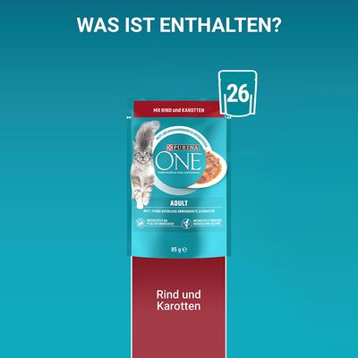 PURINA ONE Adult