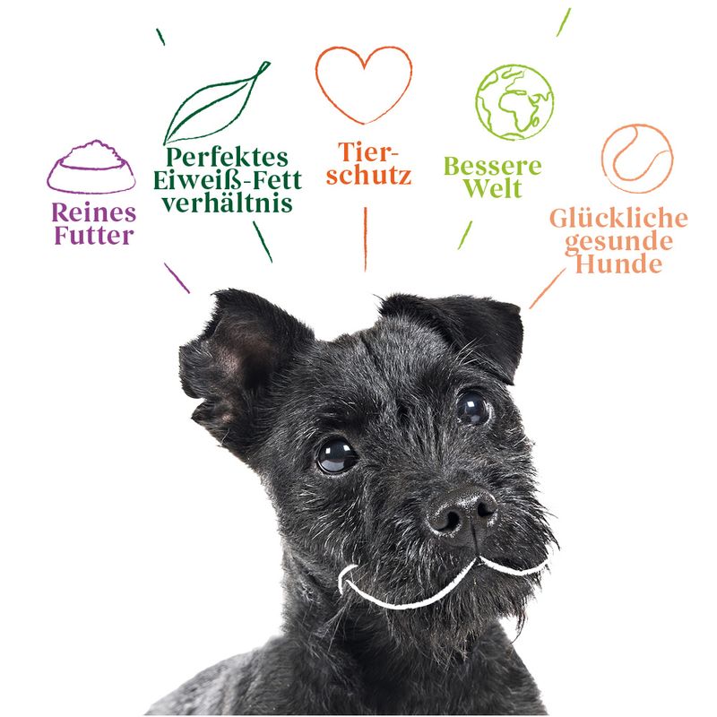 Yarrah Bio Ökologisches Hundefutter Vegetarisch