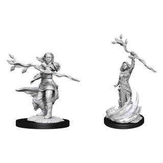 D&D Nolzur's Marvelous Miniatures - Human Druid Female