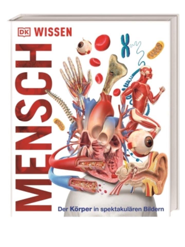 Dorling Kindersley  Buch - DK Wissen. Mensch günstig kaufen onesize