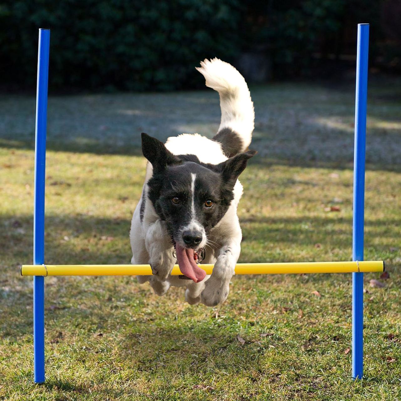 Lemodo Lemodo Hundetrainingsset, 12 Stk. Slalomstangen und 3 Stk. Hürdestangen