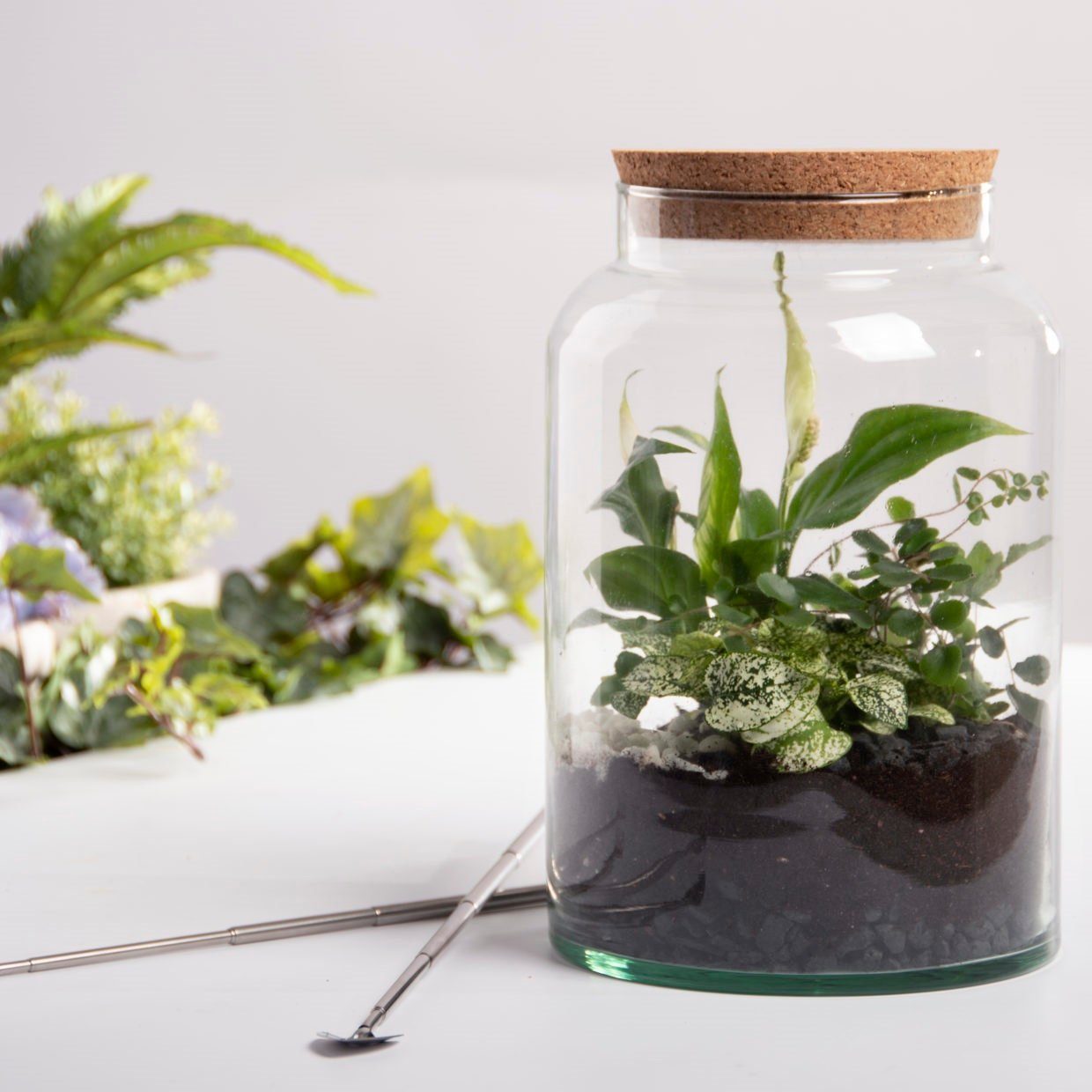 esschert design Übertopf Halboffene Terrarium Flasche Glas 7L Pflanzen Deko Gewächs Haus Blumen Kork Haus