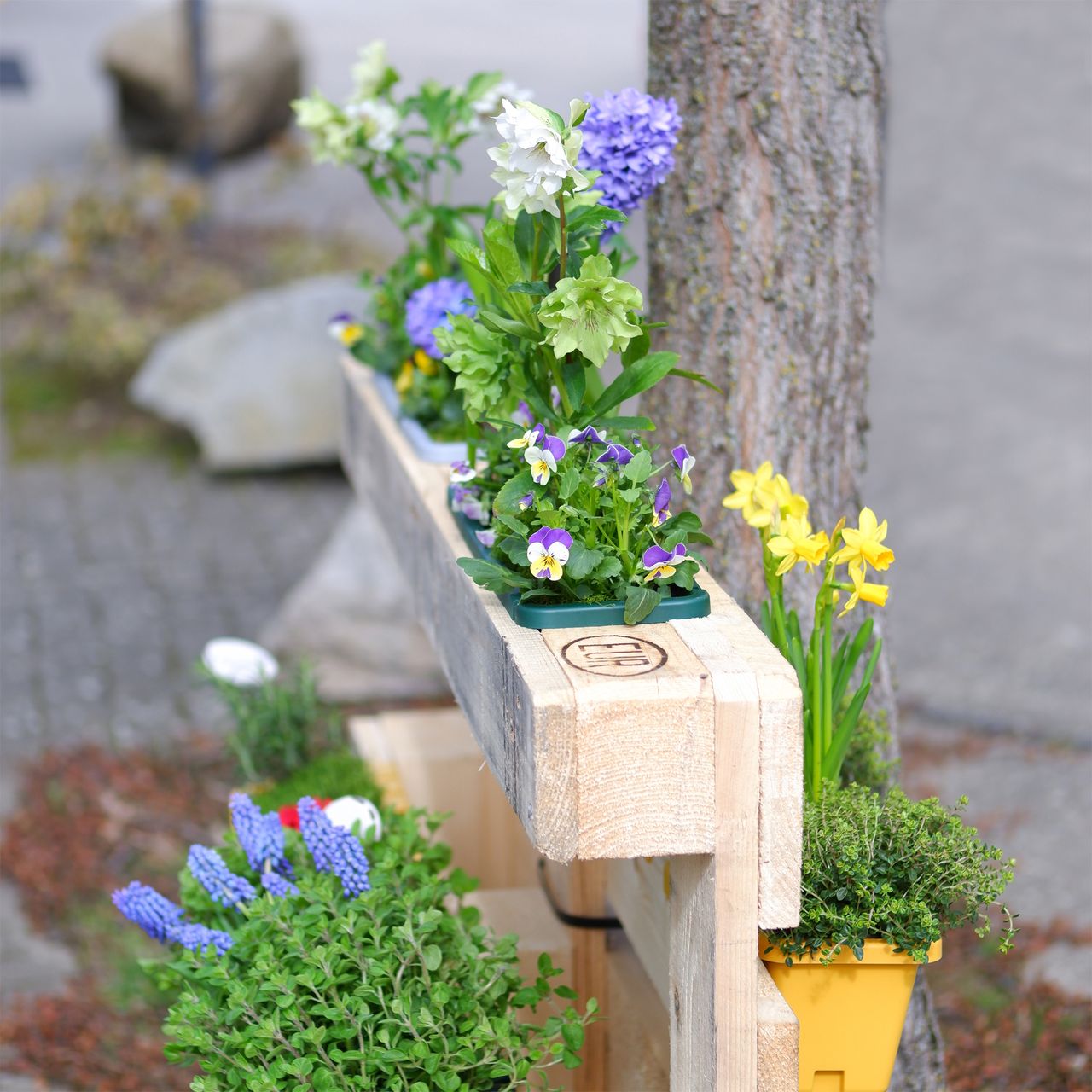GreenLife Blumen- / Kräuterbox 3 Stück, terrabraun, komplett