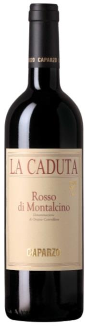 2019 Rosso di Montalcino 