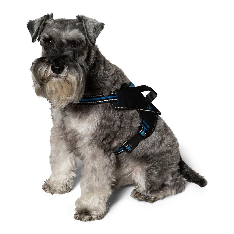 Zoozaker Hundesele 35 cm, m/håndtak