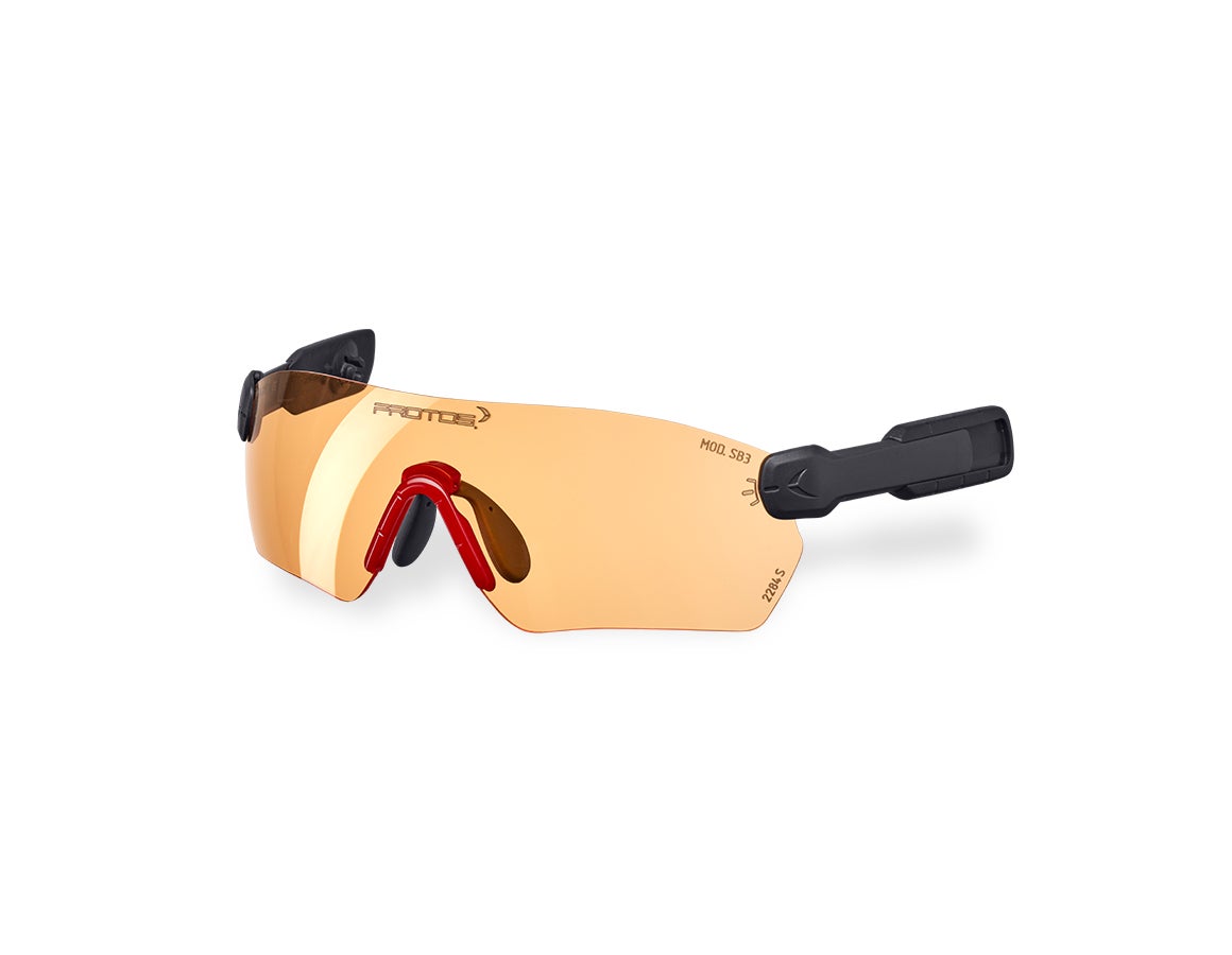 e.s. Schutzbrille  Protos® Integral