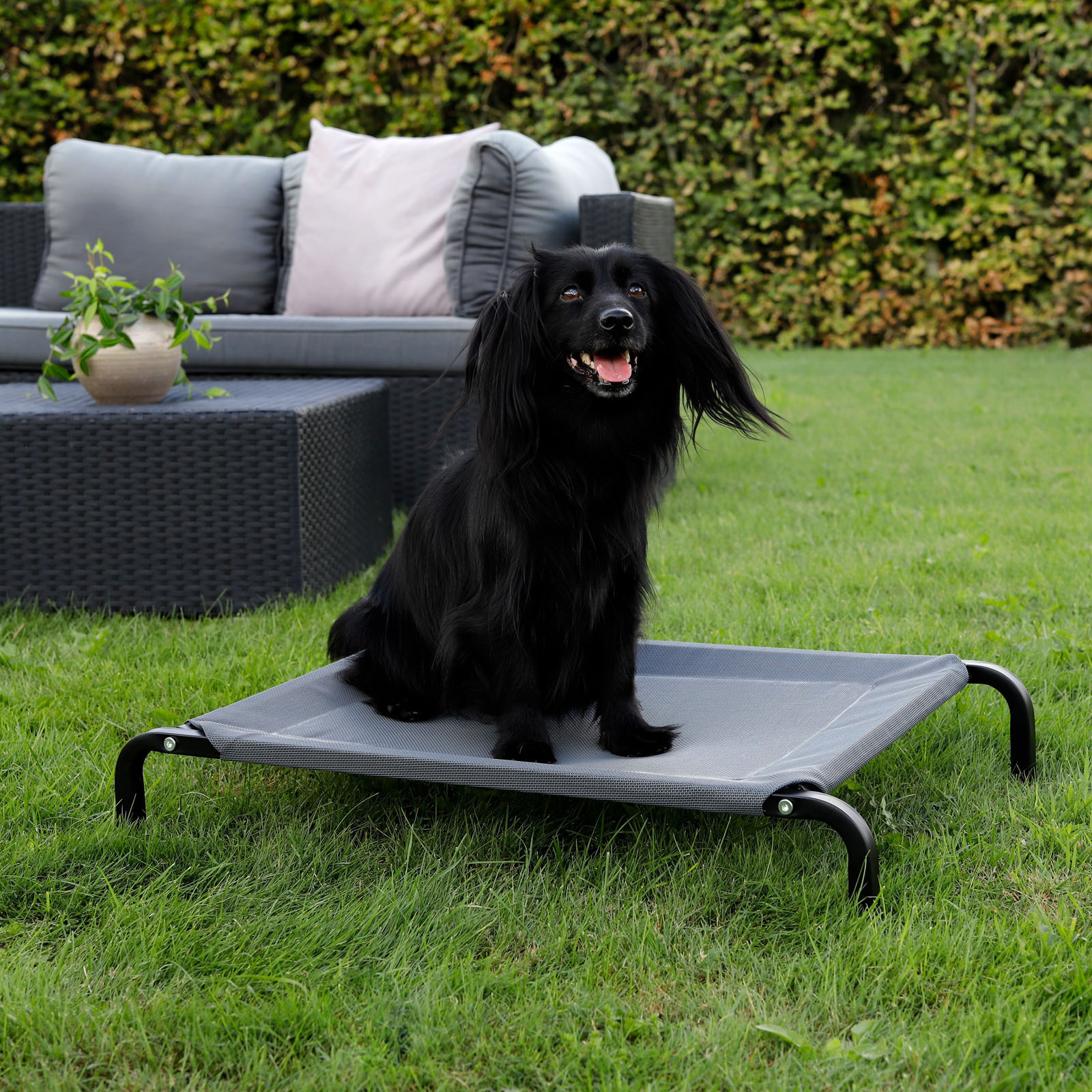 Lionto Hundebetten Lionto erhöhte Hundeliege grau S