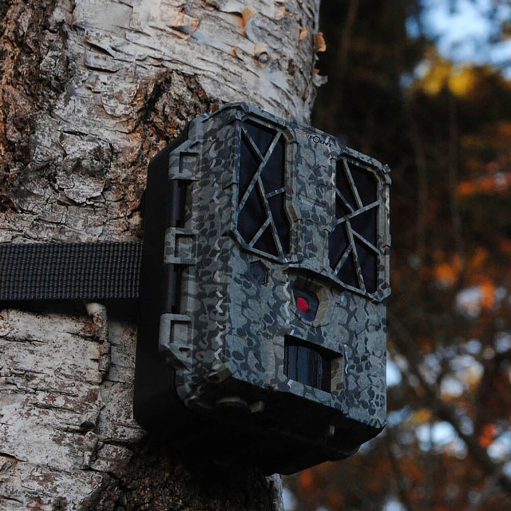 Spypoint Wildkamera Force-Pro