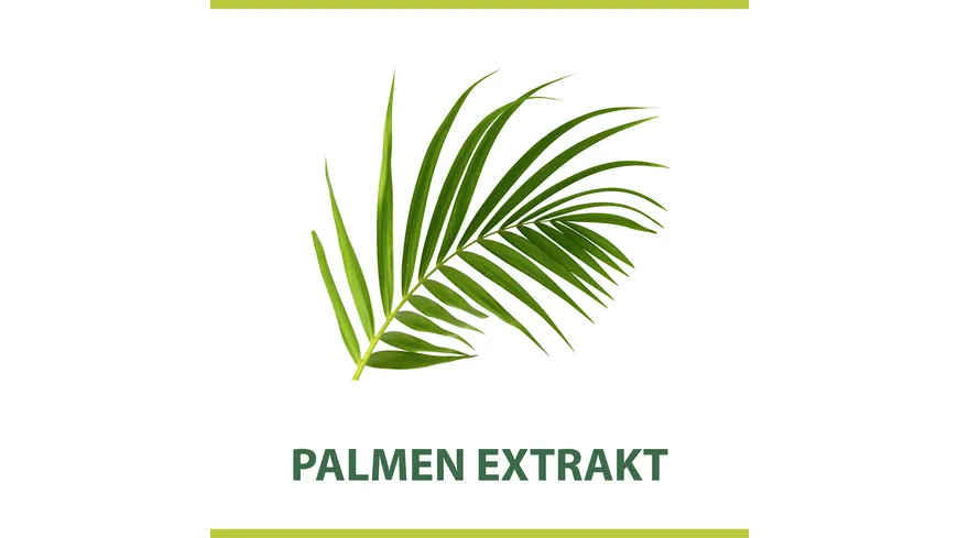 Palmolive Rasierschaum für Männer - weicher, cremiger Schaum - schützt vor Rasurbrand und Irritationen für eine sanfte Rasur 300 ml