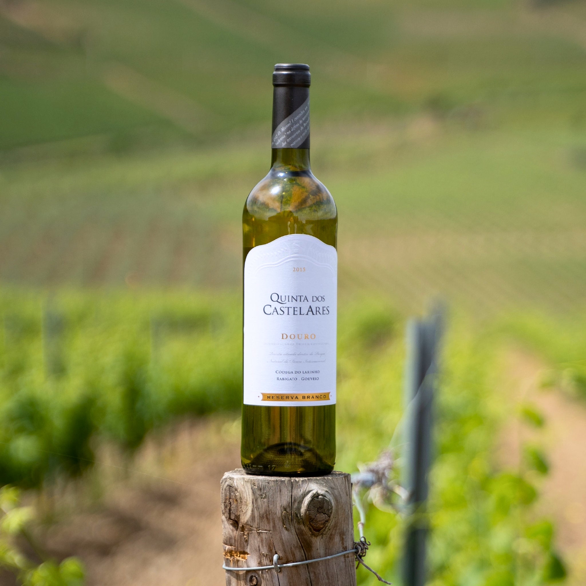 QUINTA DOS CASTELARES RESERVA WEISSWEIN 2021 - BIOWEIN
