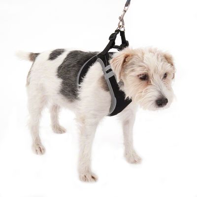 Hunde-Softgeschirr Feel Free - schwarz