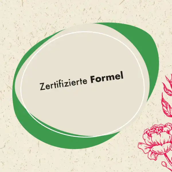 Allzweckreiniger Nachfüll-Konzentrat Lemon Rose