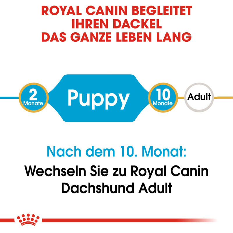 ROYAL CANIN Hundetrockenfutter ROYAL CANIN Dachshund Puppy 1,5 kg